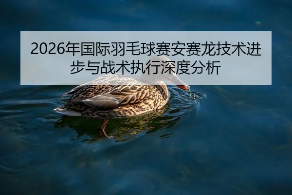 nian-guo-ji-yu-mao-qiu-sai-an-sai-long-ji-shu-jin-bu-yu-zhan-shu-zhi-xing-shen-du-fen-xi-2-145.jpg