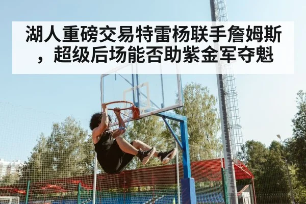 LeBron James dunk