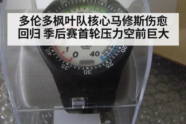 多伦多枫叶队核心马修斯伤愈回归 季后赛首轮压力空前巨大